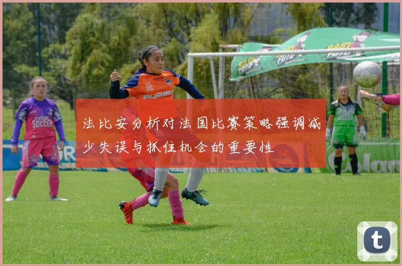 法比安分析对法国比赛策略强调减少失误与抓住机会的重要性